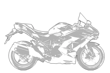 KAWASAKI NINJA H2 SX SE