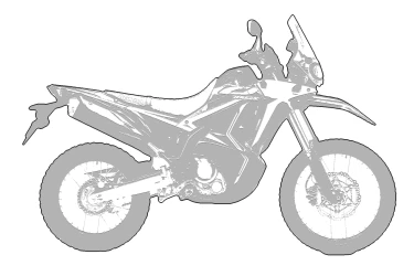 HONDA CRF300 RALLY 2021