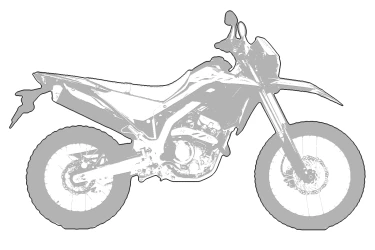 HONDA CRF300 RALLY LRA 2022