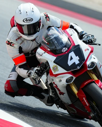 FOLCH ENDURANCE RACING | EWC